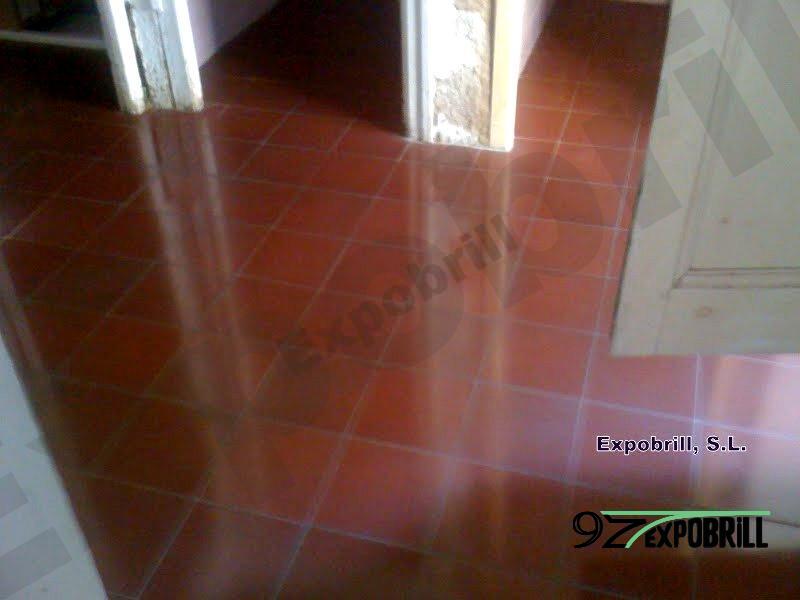 Terra de tova o fang cuit polit amb brillantor natural