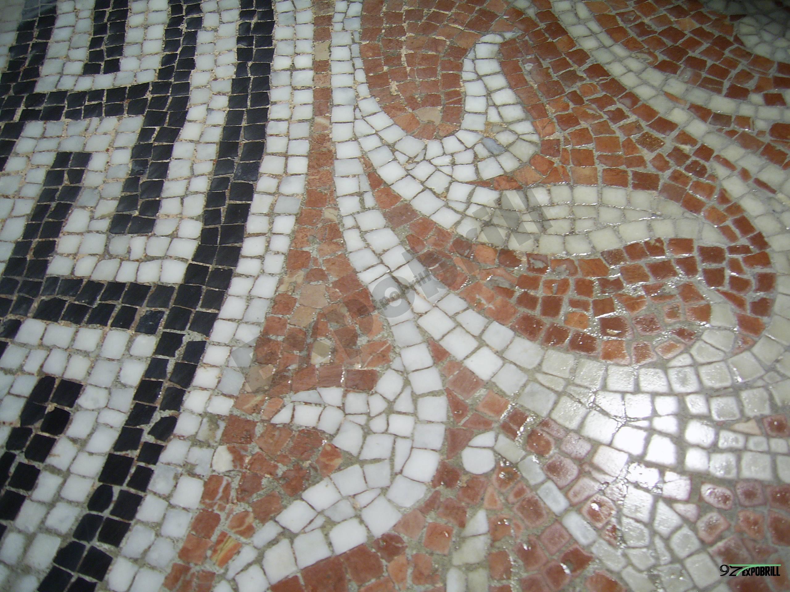 mosaico romano del Palau Falguera de Sant Feliu de llobregat